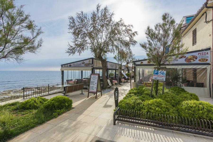 Apartment Lion Novigrad Istria Dış mekan fotoğraf